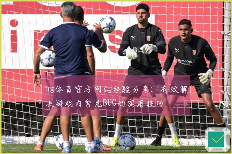 ng体育官方网站经验分享：有效解决游戏内常见BUG的实用技巧
